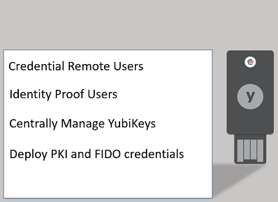 Extend YubiKey Manager capabilities